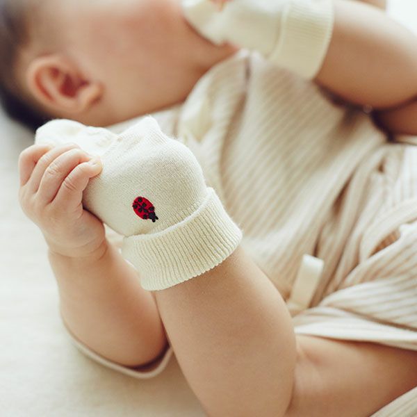 オーガニックコットン ベビーくつ下 てんとう虫