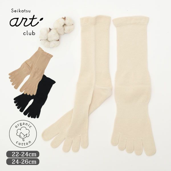 オーガニックコットン 裏糸なし5本指薄手ソックス