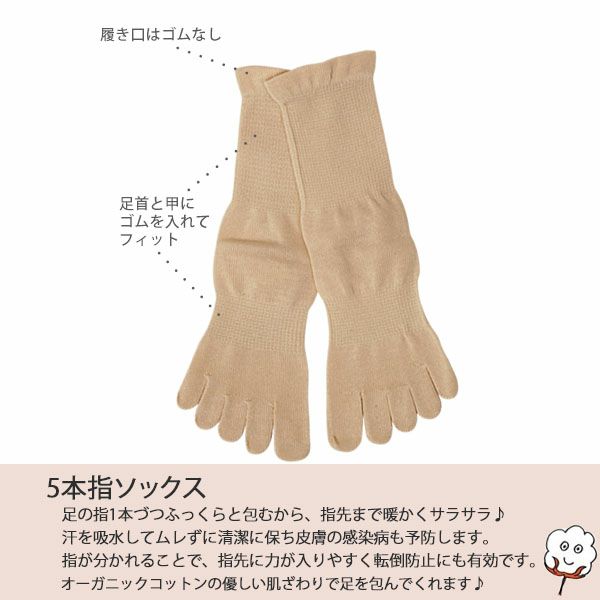 オーガニックコットン 裏糸なし5本指薄手ソックス