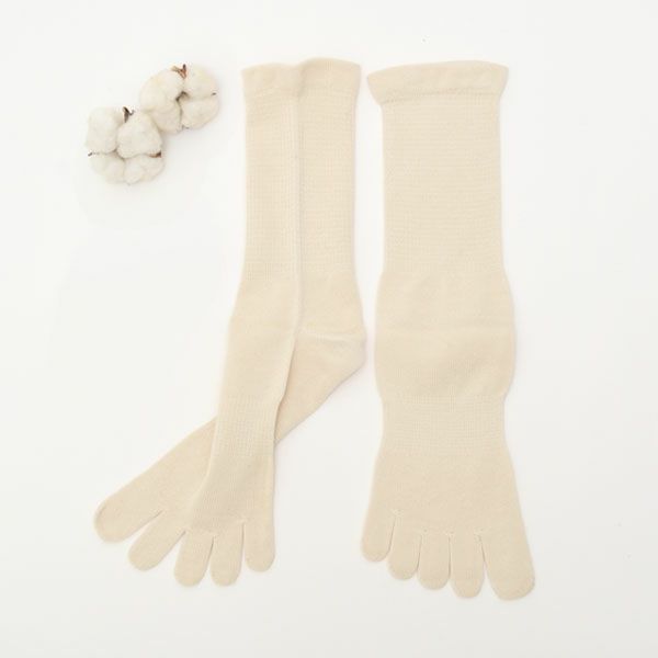 オーガニックコットン 裏糸なし5本指薄手ソックス