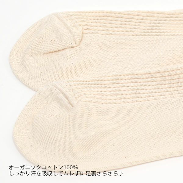 オーガニックコットン 綿100% リブソックス