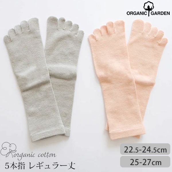 オーガニックコットン 5本指ソックス  レギュラー丈