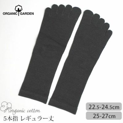 オーガニックコットン 五倍子 5本指ソックス