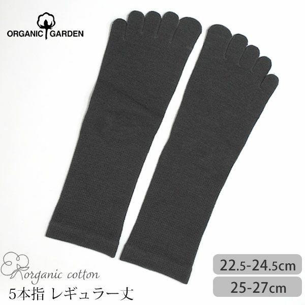 オーガニックコットン 五倍子 5本指ソックス