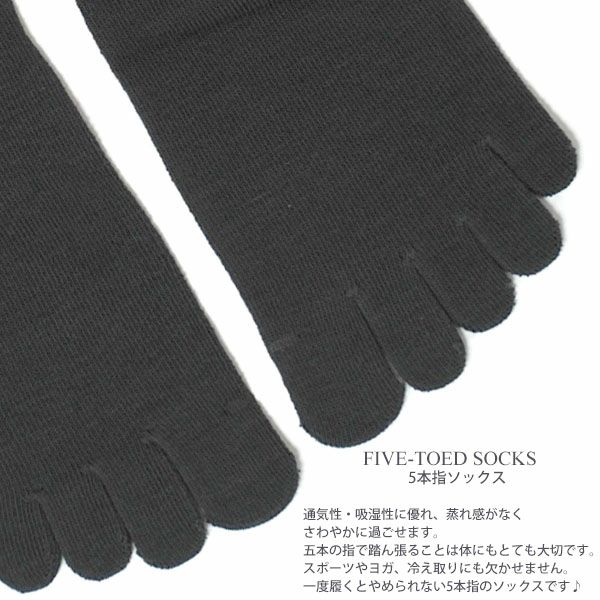 オーガニックコットン 五倍子 5本指ソックス
