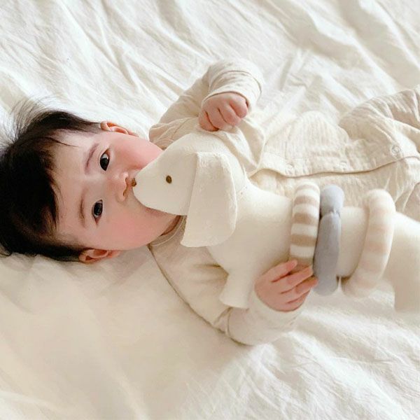 オーガニックコットン ぬいぐるみ リングダックス