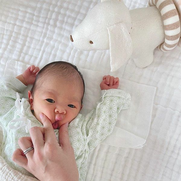 オーガニックコットン ぬいぐるみ リングダックス