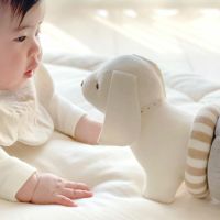 オーガニックコットン ぬいぐるみ リングダックス