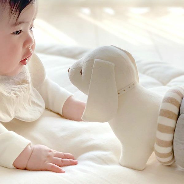 オーガニックコットン ぬいぐるみ リングダックス