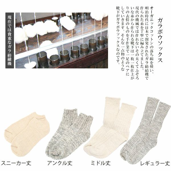 オーガニックコットン ガラボウソックス スニーカー丈