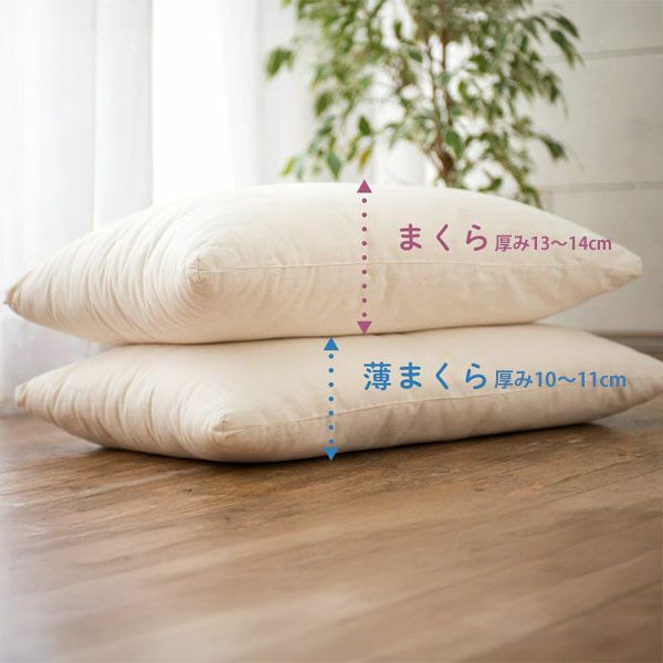 オーガニックコットン 薄まくら きなり 43×63