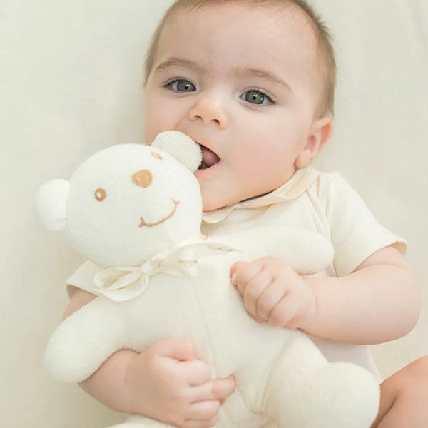 オーガニックコットン ぬいぐるみ くま