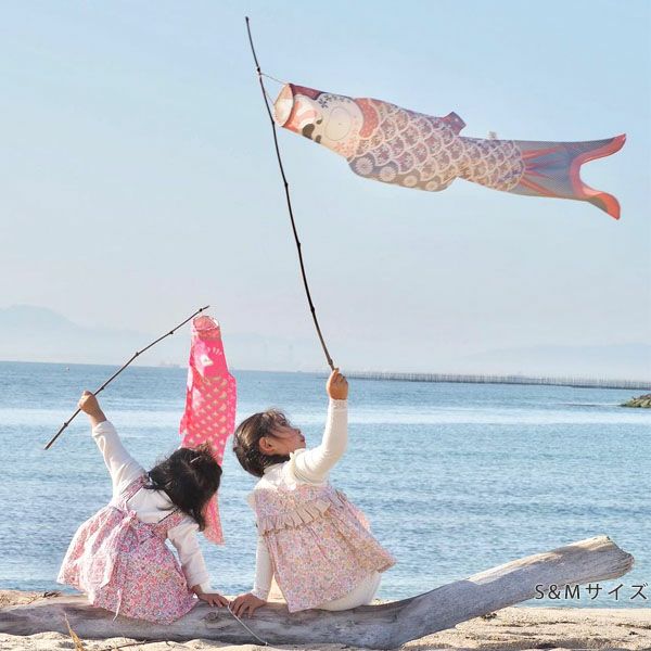オーガニックコットン KOINOBORI こいのぼり M