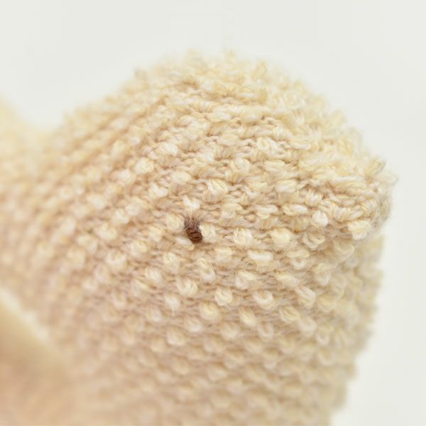 オーガニックコットン がらがら とりさん