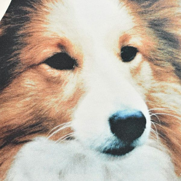 【SALE／50%OFF】オーガニックコットン キッズロブスＴシャツ(半袖)