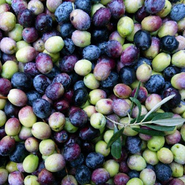 まあるいせっけん【ラベンダー】120g