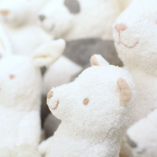 オーガニックコットン くまのぬいぐるみ L