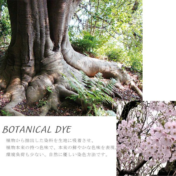 オーガニックコットン スタイリッシュブラ