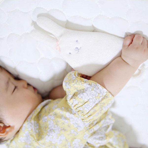 オーガニックコットン ひんやりくまさん