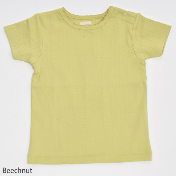 オーガニックコットン キッズポインテルTシャツ（半袖）