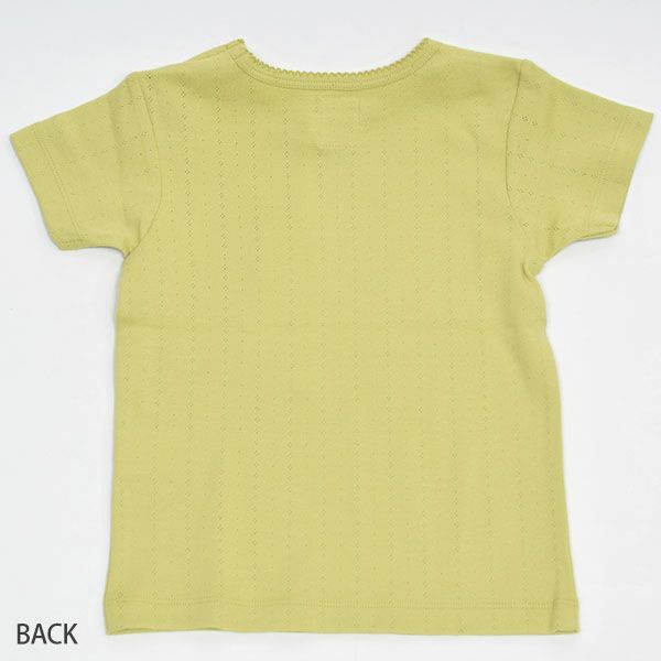 オーガニックコットン キッズポインテルTシャツ（半袖）
