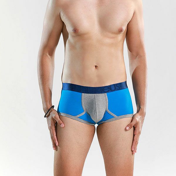 オーガニックコットン メンズ ボクサーブリーフ The Gift's of Life