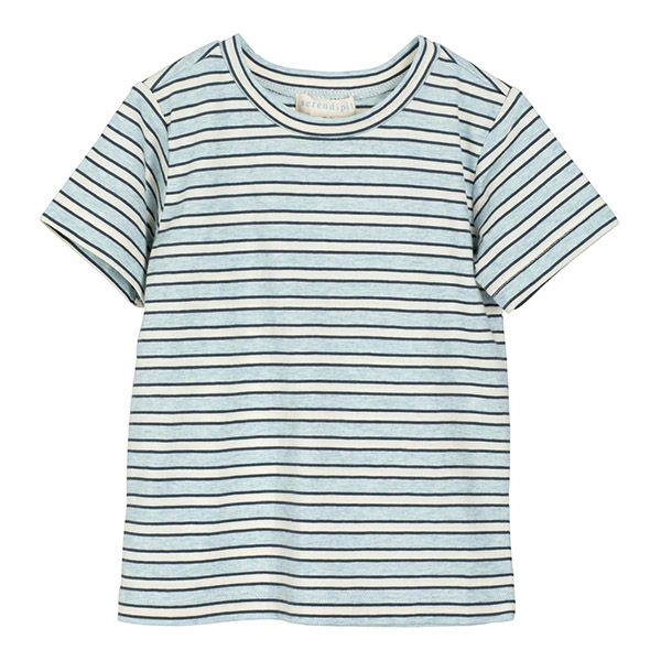 オーガニックコットン キッズＴシャツ(半袖) Stripe