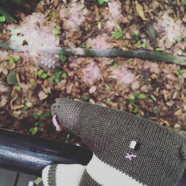 【SALE／30%OFF】 オーガニックコットン あみぐるみ YURU-TheGiantAnteater