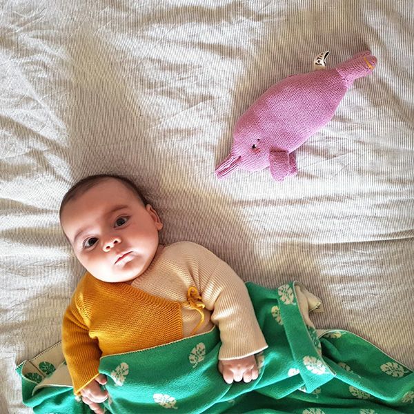 【SALE／30%OFF】 オーガニックコットン あみぐるみ BOTO-TheAmazonPinkDolphin