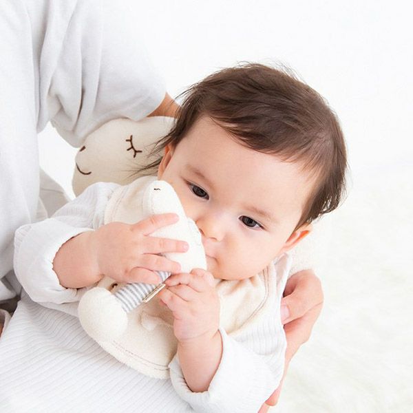 オーガニックコットン ひつじ だっこ枕