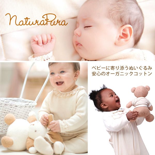 オーガニックコットン ぬいぐるみ くま 茶