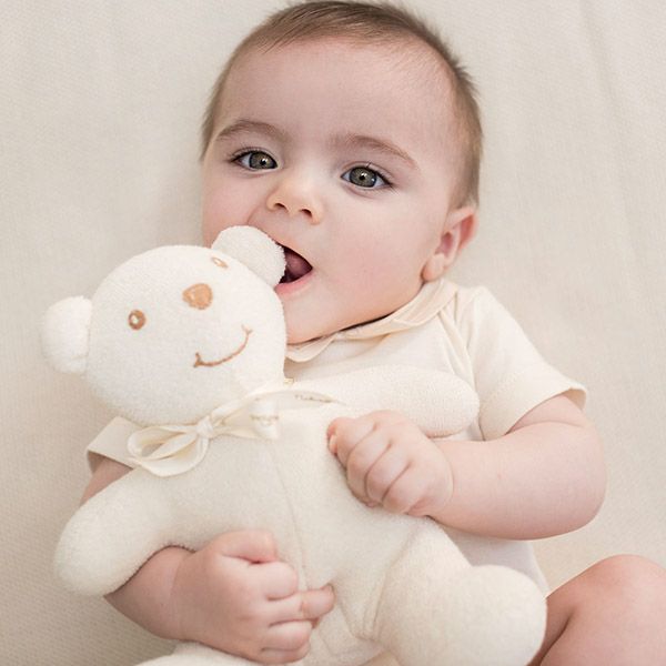 オーガニックコットン ぬいぐるみ くま 茶