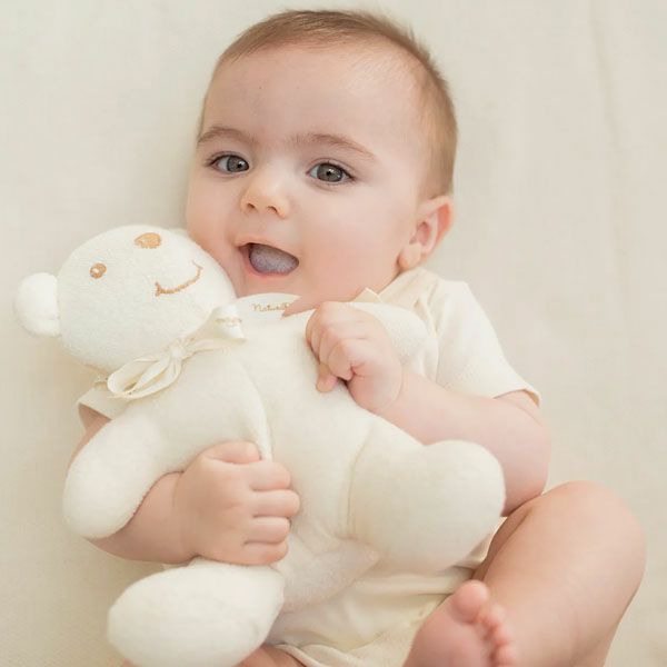 オーガニックコットン ぬいぐるみ くま 茶