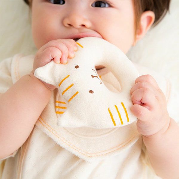 オーガニックコットン にゃんこガラガラ petit sac付