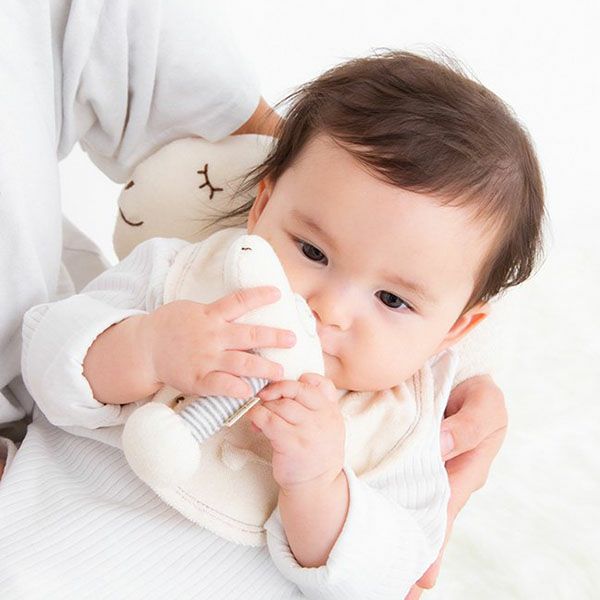 オーガニックコットン ひつじスティックガラガラ petit sac付