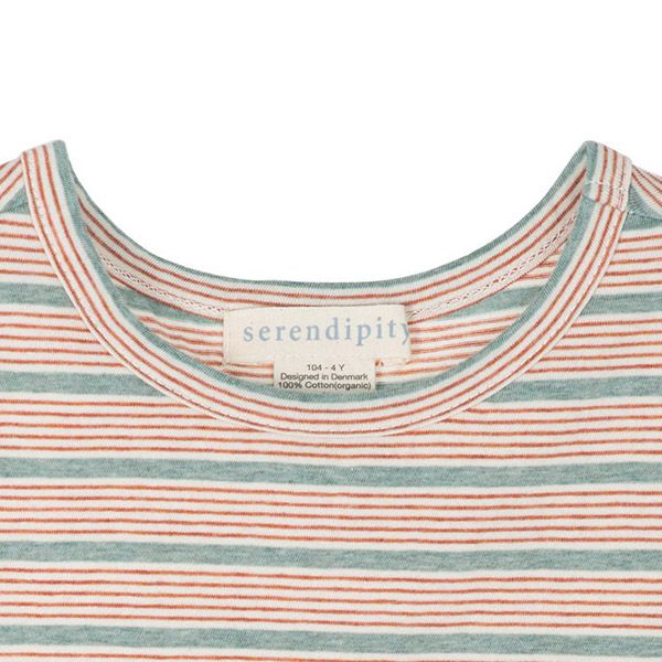 オーガニックコットン キッズ 天竺Ｔシャツ (半袖)