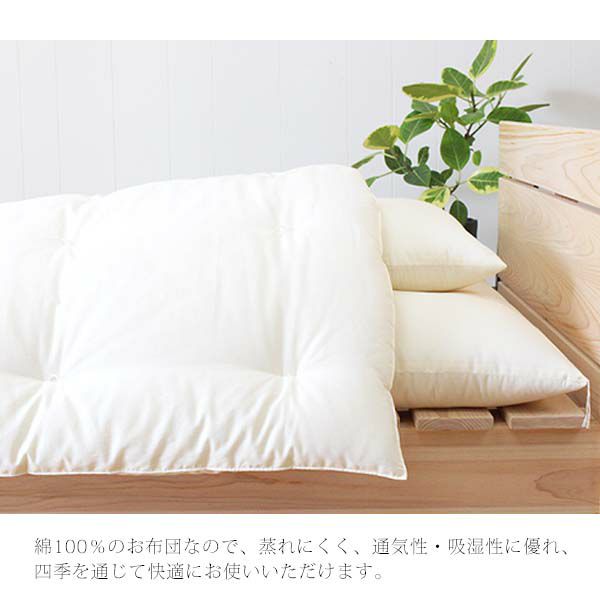 オーガニックコットン CS対応 シングル肌掛け布団 150×200
