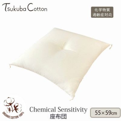 オーガニックコットン CS対応 座布団 55×59