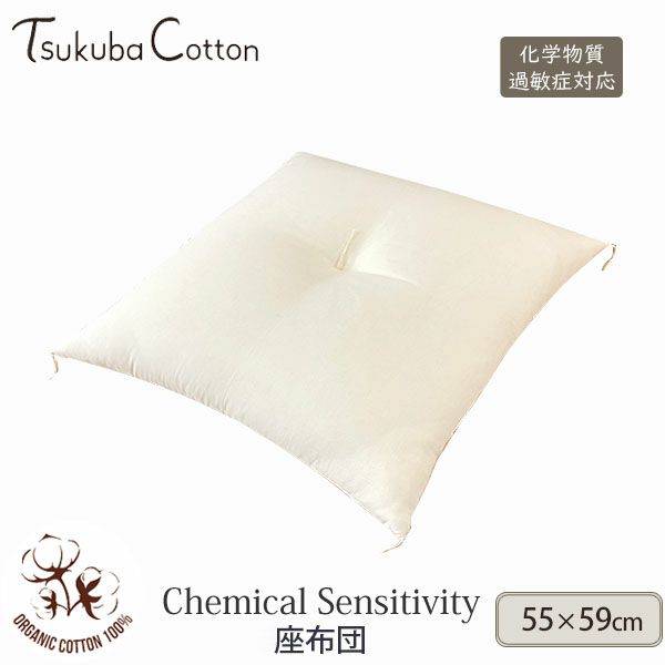 オーガニックコットン CS対応 座布団 55×59