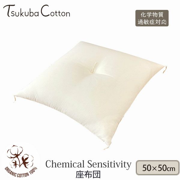 オーガニックコットン CS対応 座布団 50×50