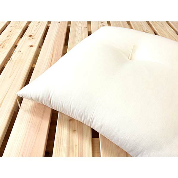 オーガニックコットン CS対応 座布団 50×50