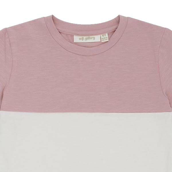 オーガニックコットン キッズ Tシャツ BASS(半袖)