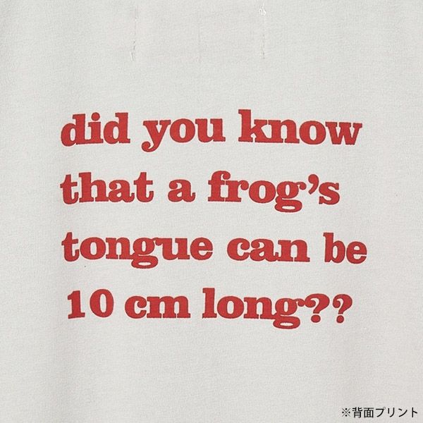 オーガニックコットン キッズ Tシャツ Quak(半袖)