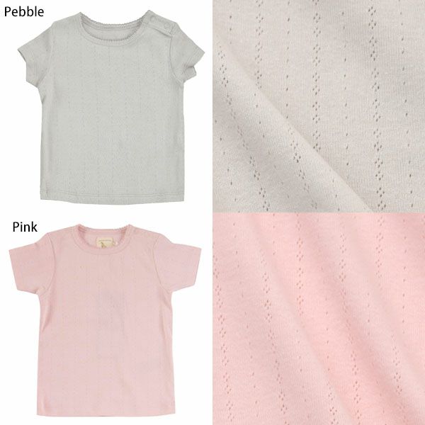 オーガニックコットン キッズポインテルTシャツ（半袖）