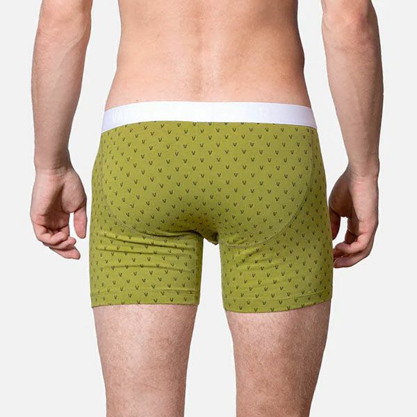 オーガニックコットン メンズボクサーパンツ V