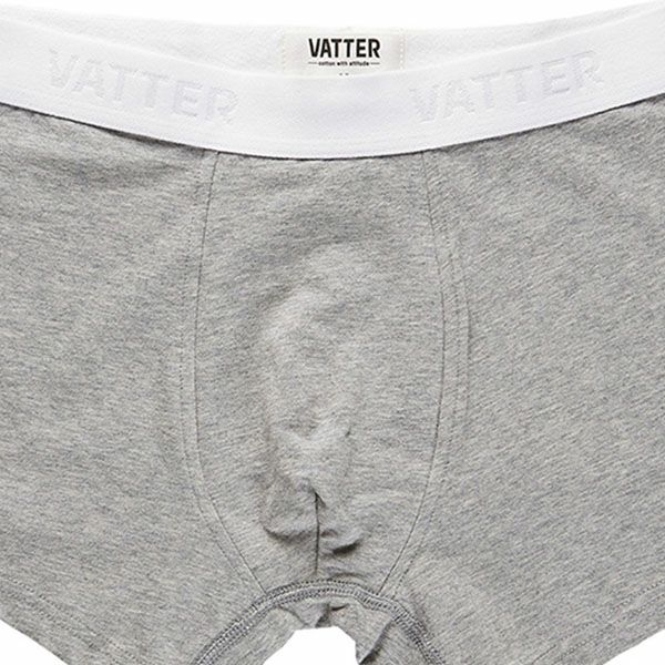 オーガニックコットン メンズボクサーパンツ TrunkShort