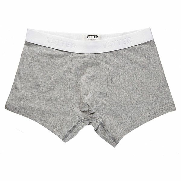 オーガニックコットン メンズボクサーパンツ TrunkShort
