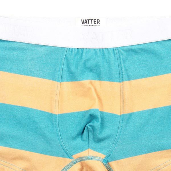 オーガニックコットン メンズボクサーパンツ TrunkShort BlockStripes