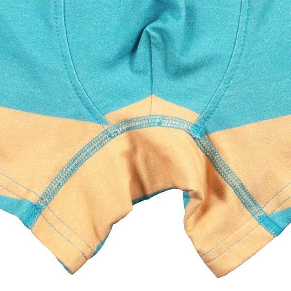 オーガニックコットン メンズボクサーパンツ TrunkShort BlockStripes