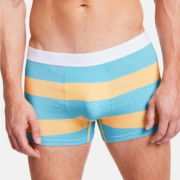 オーガニックコットン メンズボクサーパンツ TrunkShort BlockStripes